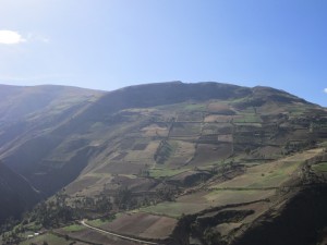 IMG_2728